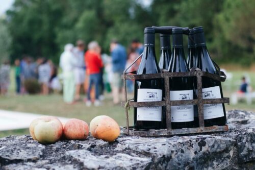 pexels-toulouse-13622704